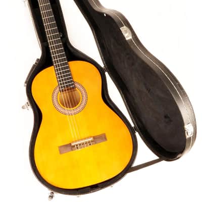 Douglas CGC-200 Classical Guitar Case for Bromo BAR 5 and others image 3