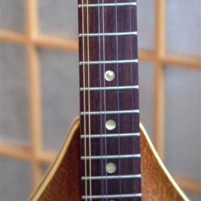 1966 Fender Banjoline Prototype - One of two Fender Banjolines image 6