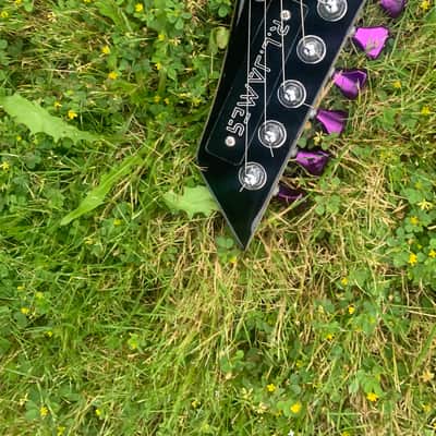 Custom R L James Guitar Custom Animal 2026 - Custom image 9