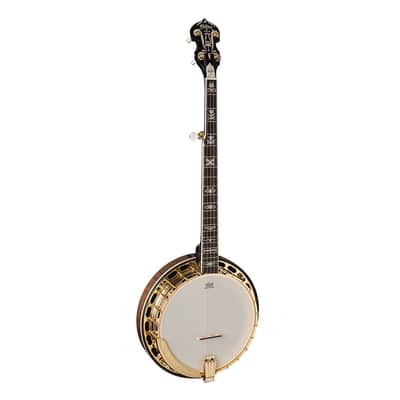 Washburn Americana Series B17K-D 5-String Banjo. Sunburst - B-Stock image 2