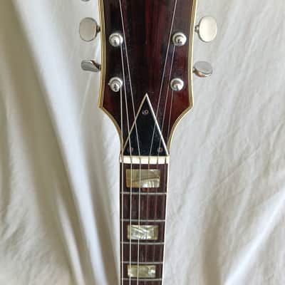 Ibanez Stereo 1967 - Wallnut image 21