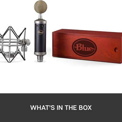 Blue Baby Bottle SL XLR Condenser Microphone for Recording and Streaming, Large-Diaphragm Cardioid C image 10