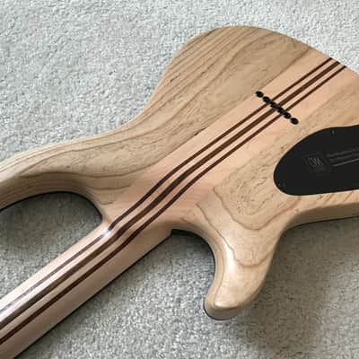 Mayones Regius Core image 18