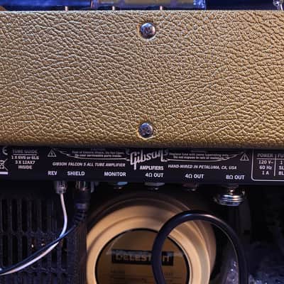 NEW ! 2024 Gibson Falcon 5 1x10 Combo - Bizarre Guitar 50th Anniversary Limited Edition - Gold Top Vinyl Oxblood Grille - Celestion Creamback Speaker - Authorized Dealer image 12