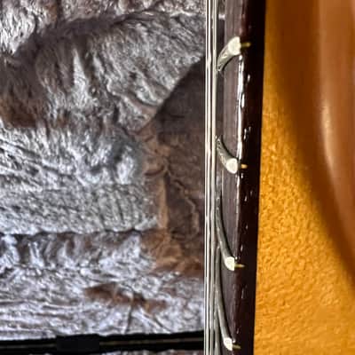Fender American Professional II Stratocaster HSS image 9