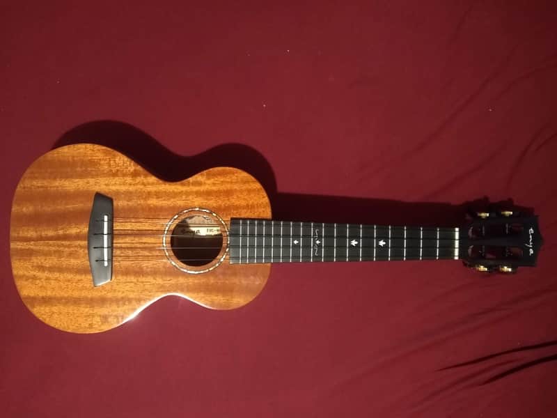 Enya MAD Natural Solid Mahogany Concert Ukulele (Electroacoustic) + EQ (EUC-MAD NA EQ) image 1