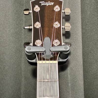 Taylor T3 2009 - Present - Red Edge Burst image 3