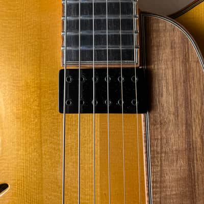 William Gagnon Composer Archtop 17" Kent Armstrong image 8