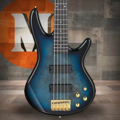 Ibanez Gio SR 5 String Electric Bass - Transparent Marine Burst (GSR205PCTMU) image 1