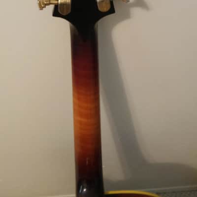 1954 D'Angelico Excel Wine Burst...Dreams Do Come True! image 5
