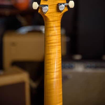 Collings 360 ST owned by Ray LaMontagne image 7