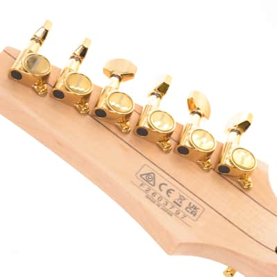 Ibanez PIA3761-SLW Steve Vai Signature 2026 Stallion White 3627gr image 10