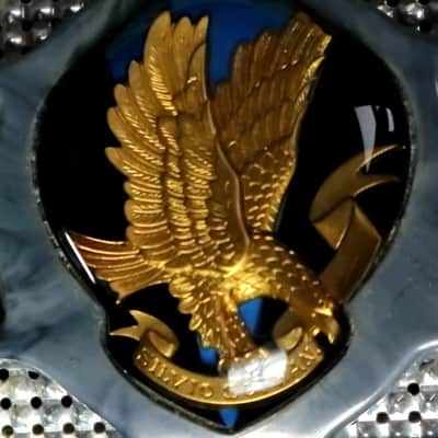 Silvio Soprani Piano Accordion 1940s - Grey Pearlescent image 5