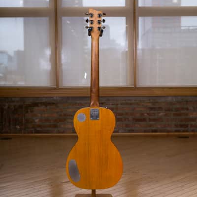 Lyon & Healy Electric Parlor by Paoletti - 160 Anniversary Limited Edition #7 image 12