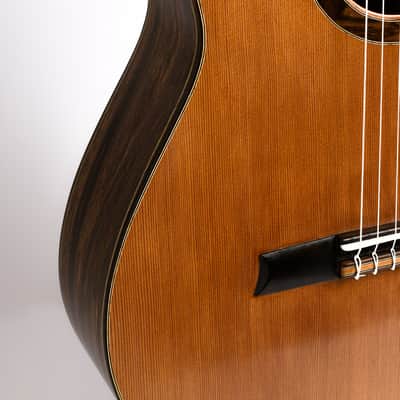 Made to order Handmade Guitar Crossover Solid Woods Brazil French Polish image 3