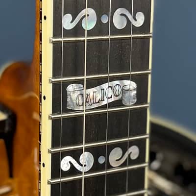 Deering Calico 5-String Banjo Demo image 8