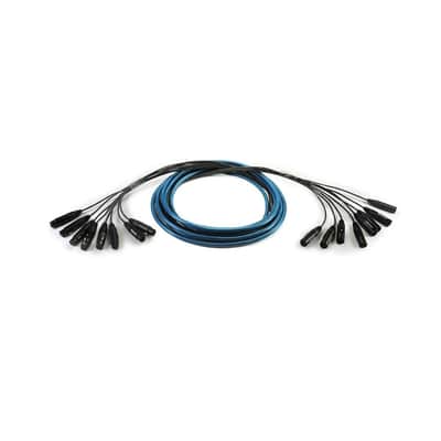 Whirlwind Medusa Multitrack Series 50' 8 Channel 3-Pin XLR Male to XLR Female Fanout Snake Cable image 2