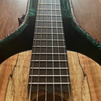 D'Angelico 6 string mini guitar image 4