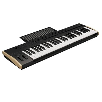 Teclado controlador KORG Keystage 49 image 2
