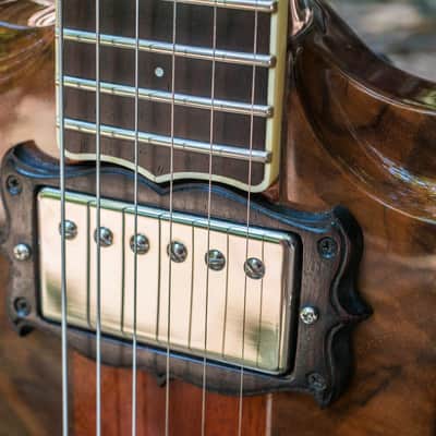 Scott Walker "Special" Guitar - 2011 - walnut & mahogany image 16