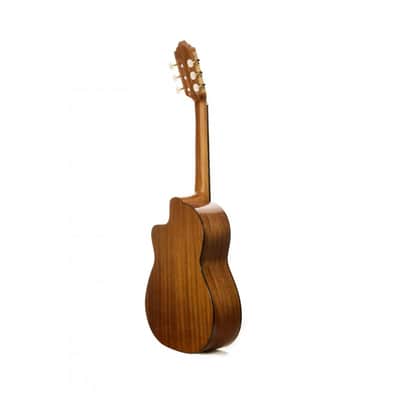 Prudencio Saez 202 Cutaway Requinto image 2