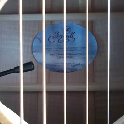 SEAGULL Artist Cameo CW DELUXE QII PEPPINO MODEL 2015 Flame Maple Sides/Back image 2