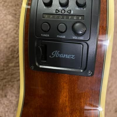Ibanez AEG12II-NMH image 9