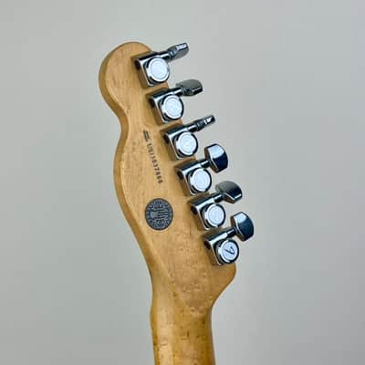 Fender Select Telecaster HH Blackwood 2013 image 13