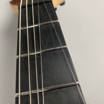 Chapman Ghost - Blue Flame top Explorer Style image 9
