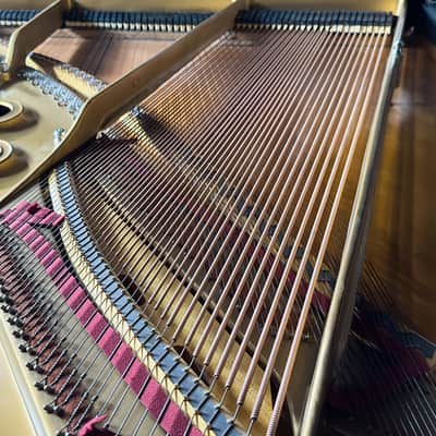 Steinway & Sons Model L 1974 - Ebony Satin image 18