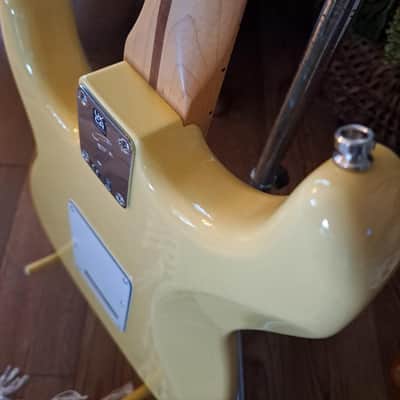 Fender Stratocaster Player MIM image 6