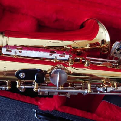 Borgani Vintage Alto Saxophone 1980 - Gold Lacquer with Nickel Silver Keys image 14