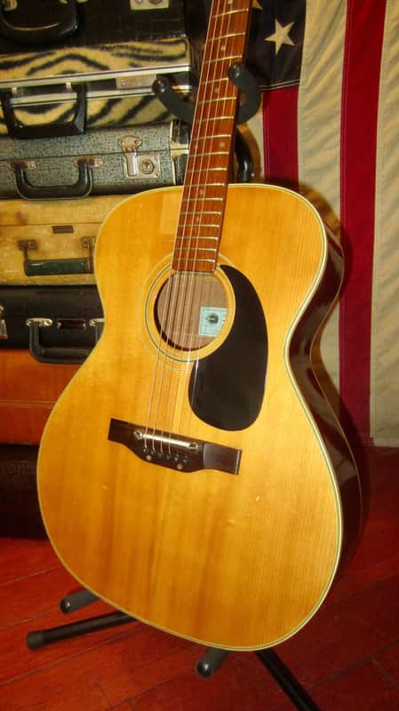 ~1971 Epiphone FT-130 Caballero Natural image 1