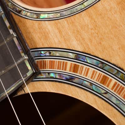B.C. Rich Acoustic Cutaway 6 -String - Spalted Maple - W/Matrix Infinity VT & Hardcase image 7