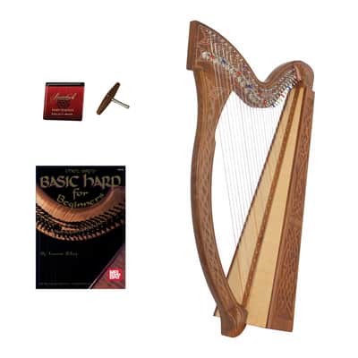 Stoney End Eve 22-String Harp – Custom Purple – Full Featherlite