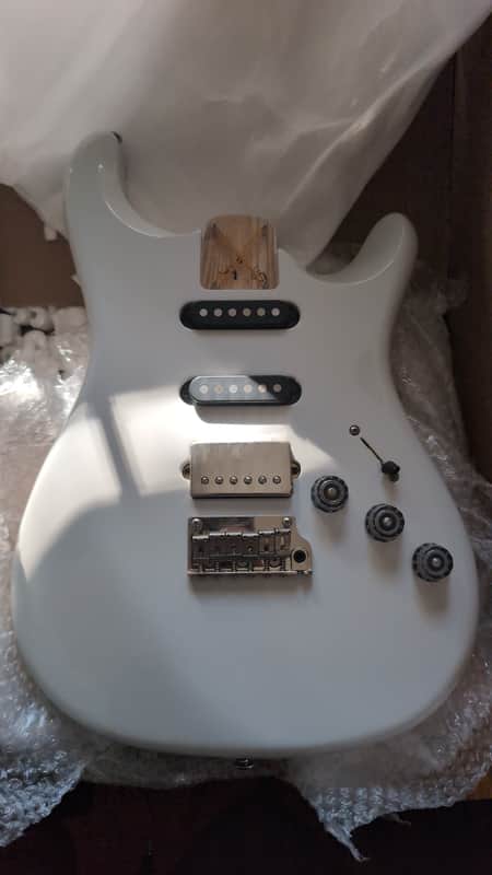 PRS Fiore 2021 Project Body Sugar Moon image 1