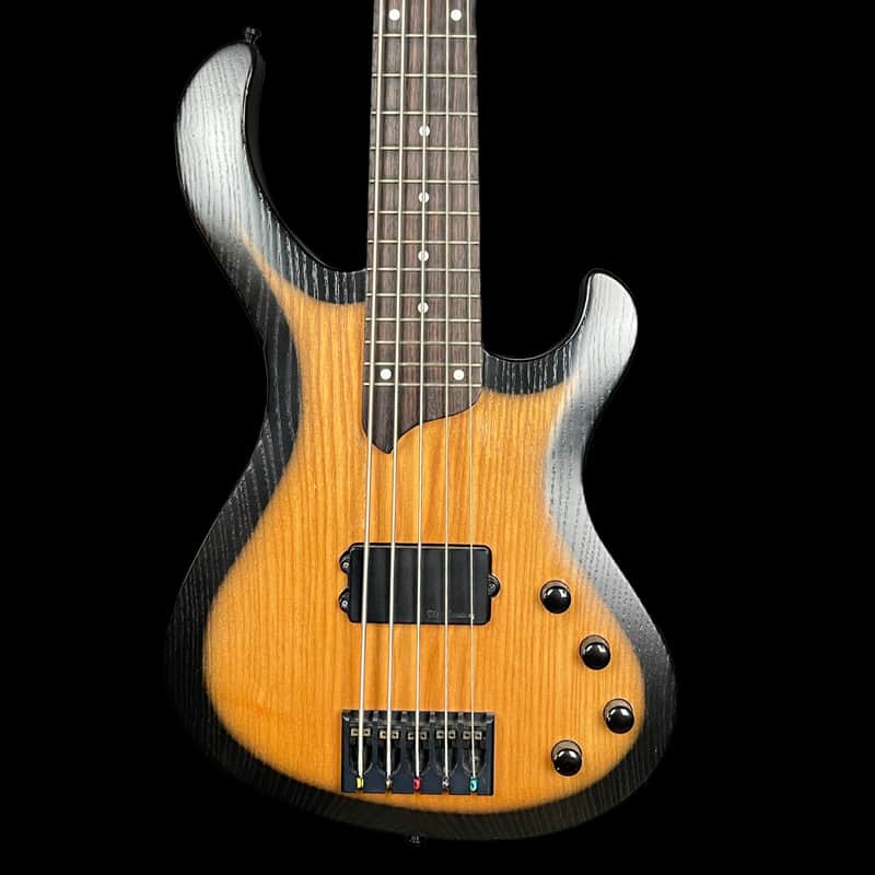 Esh Various 5 String Bass Guitar - Made in Germany w/ Piezo image 1