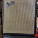Fender Musicmaster Bass Amp Version 1 19\70s - Silver