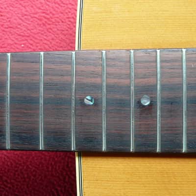 Tokai Humming Bird Custom F150 OOO size 1974 Natural image 19