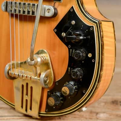 Hofner Fuzz Guitar image 9