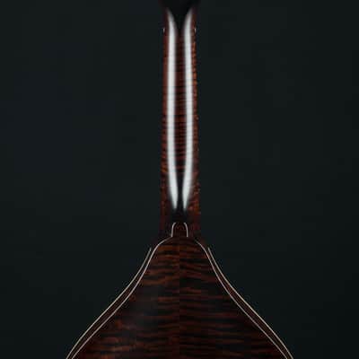 Collings MT Mandola Cream Gloss Top Adirondack Spruce and Flamed Maple NEW image 20