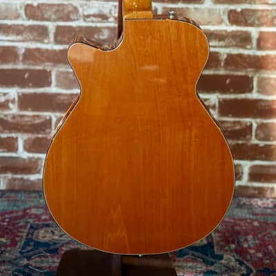Grez Mendocino F with a Burst Top (Authorized Dealer) image 6