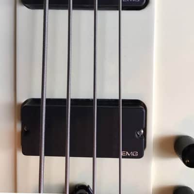 Gibson Thunderbird Bass 2003 ONE OF A KIND! Must Read! image 3