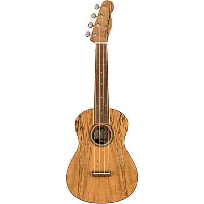 Fender Zuma Exotic Concert Ukulele, Walnut Fingerboard, Spalted Maple image 3