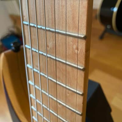 Ibanez RGDIX7MPB-SBB RGD Iron Label image 4