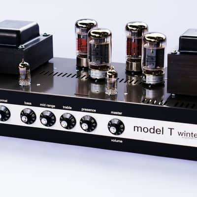 Winter Amps Sunn Model T Clone Handwired version image 2