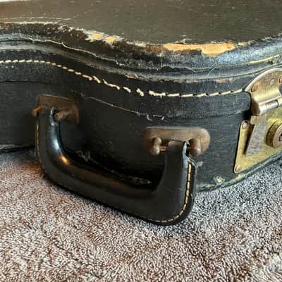 Ess & Ess guitar case image 8