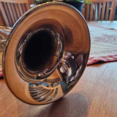BACH TR501 Silver image 11