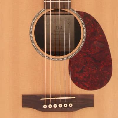 Martin DR (1999) image 4