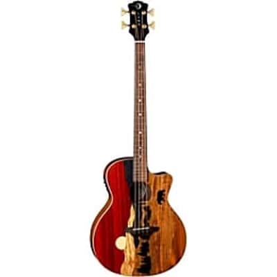 Luna Vista Bear Bass Tropical Wood Acoustic/Electric w/Case image 2